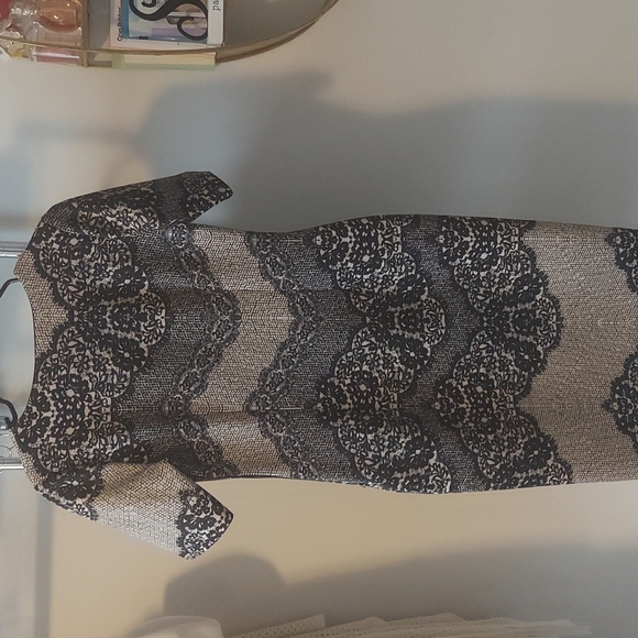 Fitted Dress sz 8 NEW - Picture 3 of 3